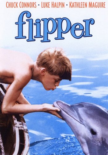 Picture for Flipper