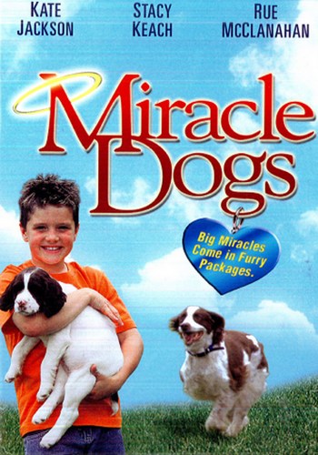 Picture for Miracle Dogs