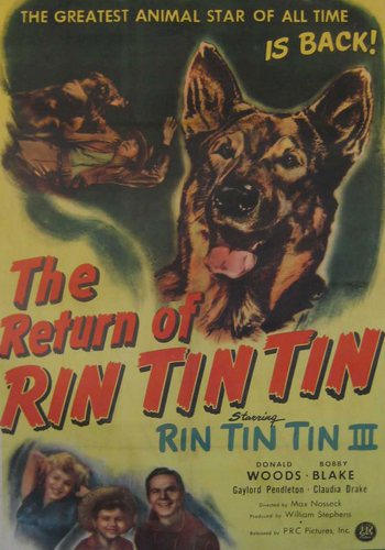 Picture for The Return of Rin Tin Tin
