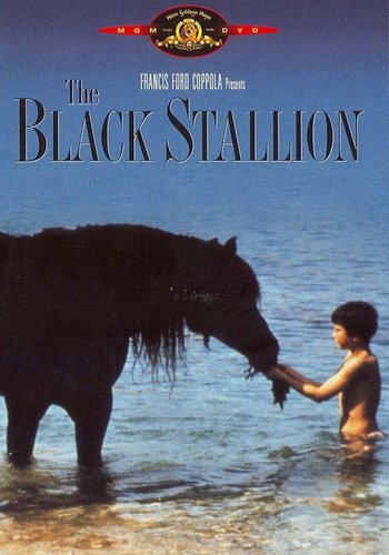 Picture for The Black Stallion