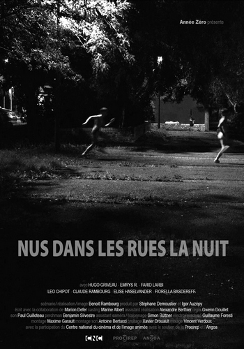 Picture for Nus dans les rues la nuit