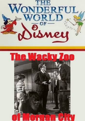 Picture for The Wacky Zoo of Morgan City