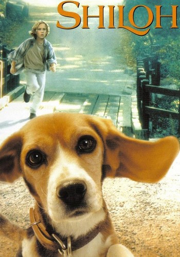 Daddy good country people and shiloh essay 08 picture