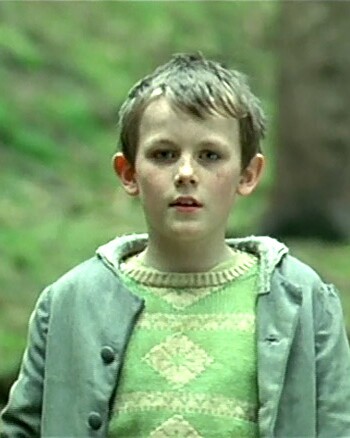 Picture for Johann Storm