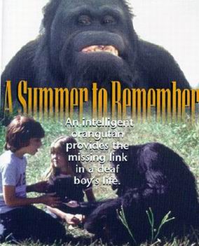 Picture for A Summer to Remember