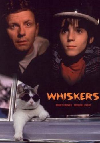 Picture for Whiskers