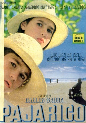 Picture for Pajarico