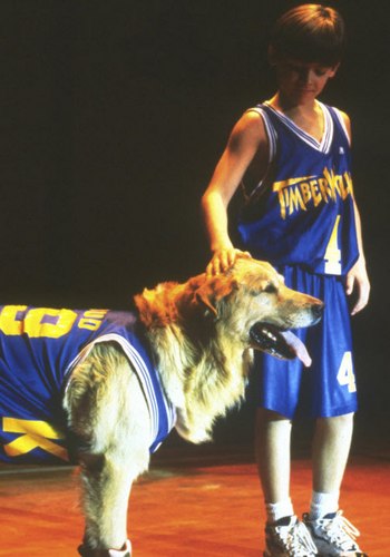 Picture for Air Bud