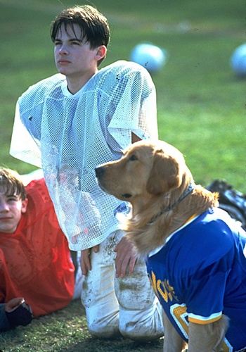 Picture for Air Bud: Golden Receiver