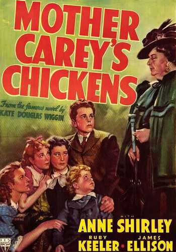Picture for Mother Carey's Chickens 