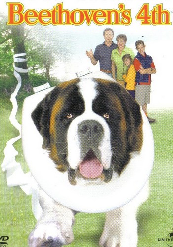 Picture for Beethoven's 4th 