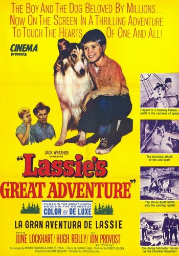 Picture for Lassie's Great Adventure 