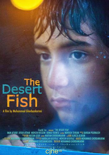 Picture for The Desert Fish