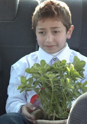 Picture for Hadiatt abi