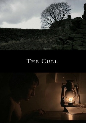 Picture for The Cull