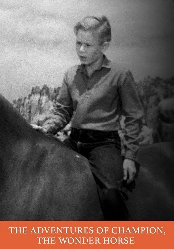 Picture for The Adventures of Champion