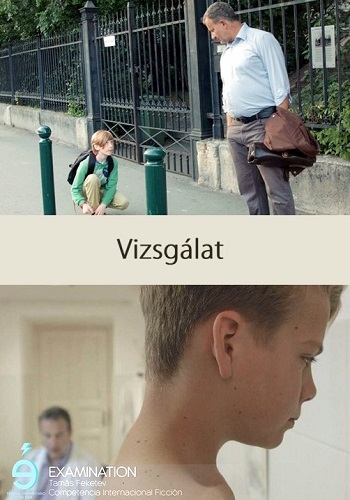 Picture for Vizsgálat
