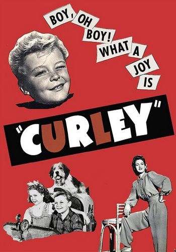 Picture for Curley 