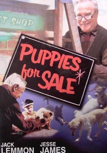 Picture for Puppies for Sale 