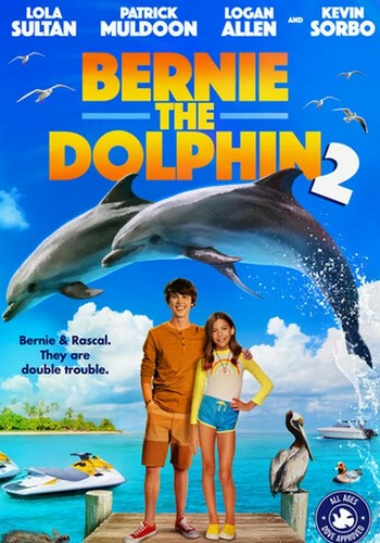 Picture for Bernie the Dolphin 2
