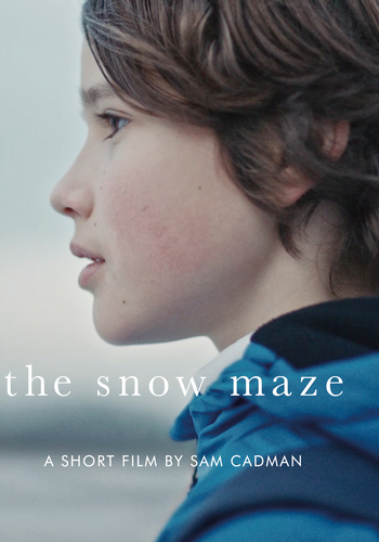 Picture for The Snow Maze