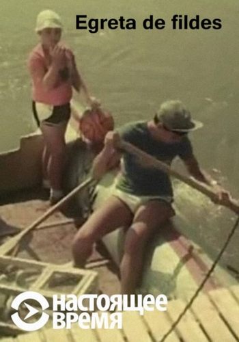 Picture for Egreta de fildes