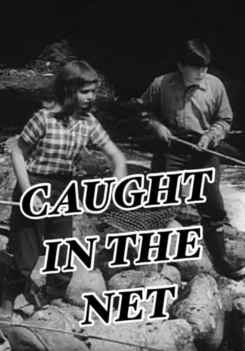 Picture for Caught in the Net