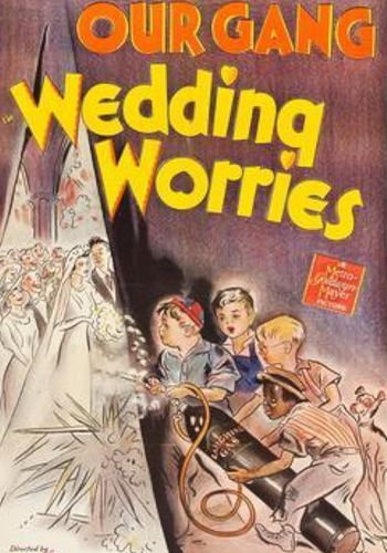 Picture for Wedding Worries 