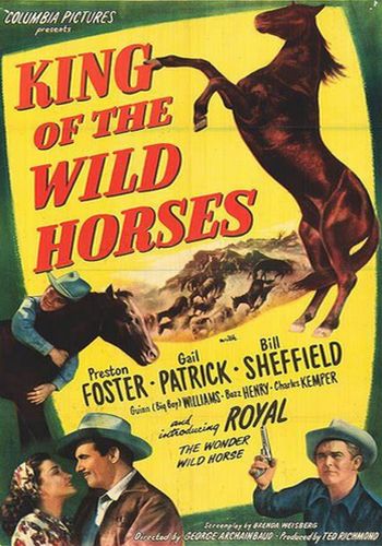 Picture for King of the Wild Horses 