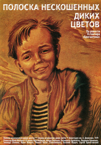 Picture for Poloska neskoshennych dikikh tsvetov