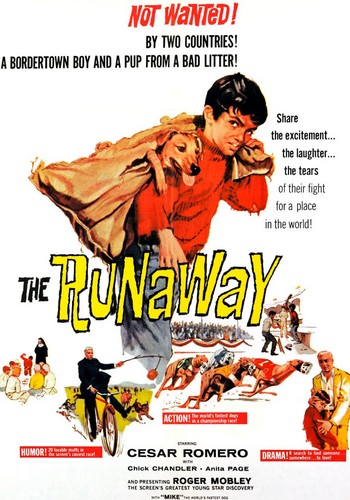 Picture for The Runaway