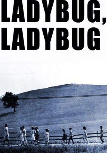 Picture for Ladybug Ladybug