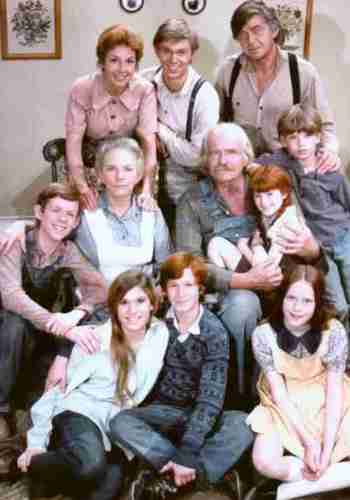 Picture for The Waltons