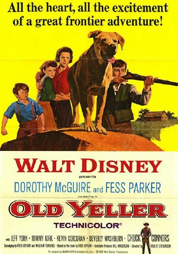 Picture for Old Yeller